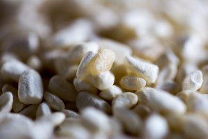 Koji sur du riz à saké